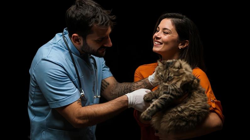 A castração pode auxiliar na diminuição de comportamentos associados à influência hormonal