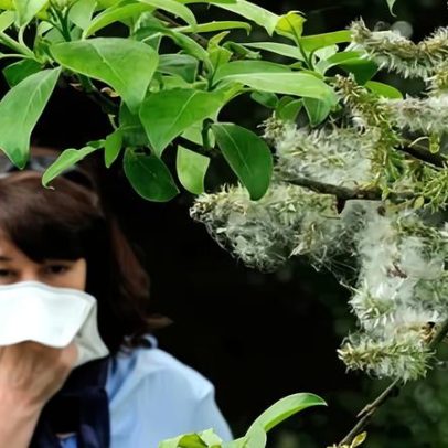 Crise climática agrava rinite alérgica e reduz prazer em estar na natureza