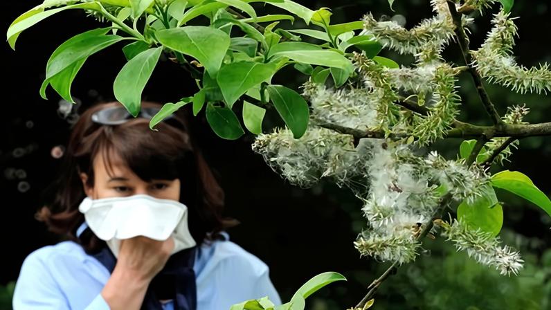 Crise climática agrava rinite alérgica e reduz prazer em estar na natureza