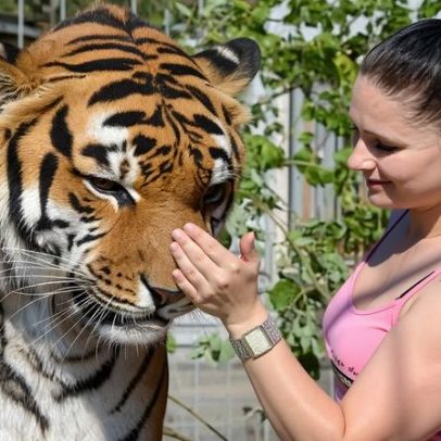 Fuga de grande felino da Tiger Queen na Alemanha abala pequena cidade