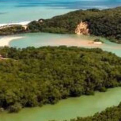 Descubra o destino secreto do Nordeste com falésias, rio e mar