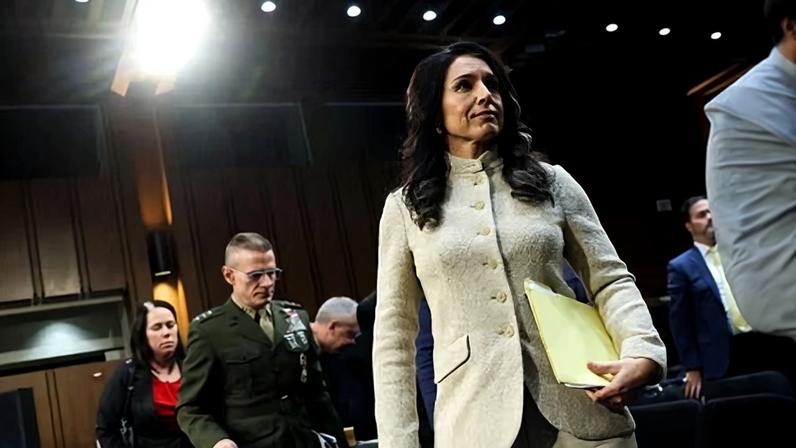 Tulsi Gabbard at a Senate intelligence committee hearing in Washington DC on 18 March.