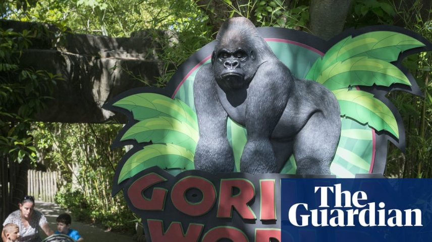 Visitors enter the Gorilla World exhibit at the Cincinnati zoo and botanical garden in June 2016.
