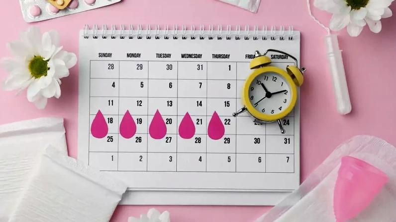 O ciclo menstrual depende de um equilíbrio delicado entre hormônios, que pode ser afetado por períodos prolongados de estresse