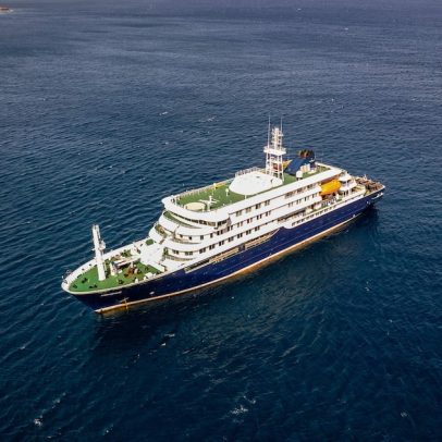 OMS rastreia contatos de passageira de cruzeiro infectada por hantavírus