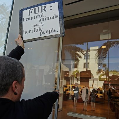 Milão Fashion Week pede às marcas para não exibir peles
