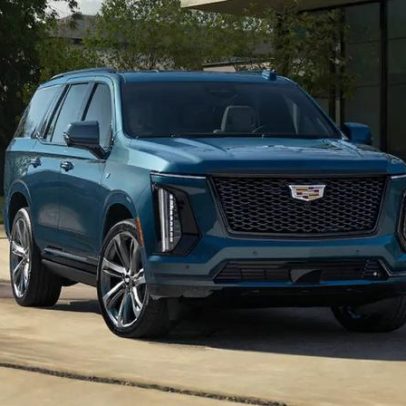 Deolane chama Cadillac de R$2 milhões de 'carro de gângster' após apreensão