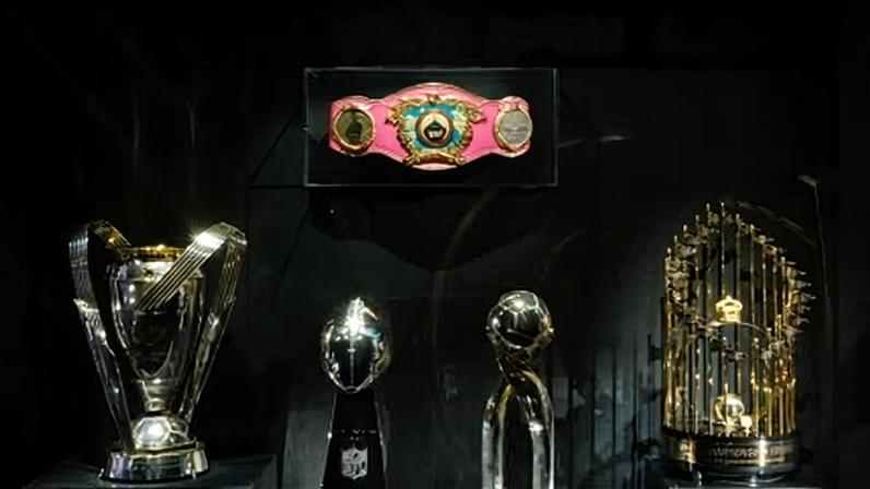 An image of exhibits on display from For The Win.