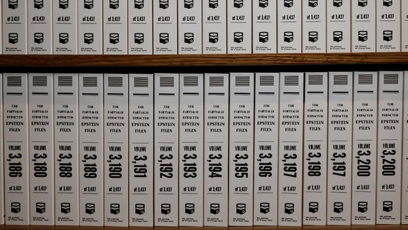 With the Donald J Trump and Jeffrey Epstein Memorial Reading Room, the non-profit group the Institute for Primary Facts has turned a Tribeca gallery into an IRL library.