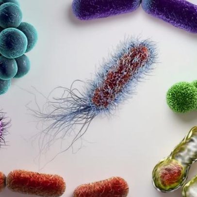 Composto de cosméticos mostra potencial contra bactérias resistentes