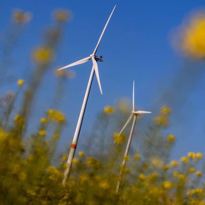 Governo usa segurança nacional para suspender projetos de energia eólica