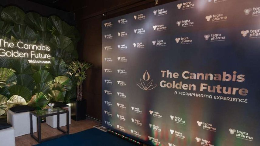 The Cannabis Golden Future / DINO