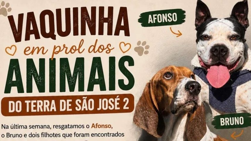 A luta de Bruno e dos filhotes resgatados do Terra de São José 2