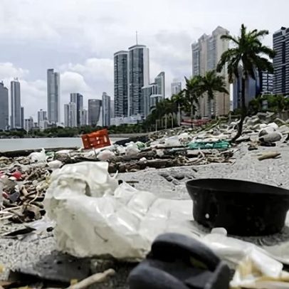 Embalagens plásticas de alimentos e bebidas são a poluição costeira mundial
