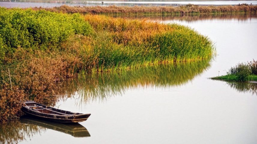 Nansha Wetlands Park, China. Image by Sam May via Flickr (CC BY 2.0).