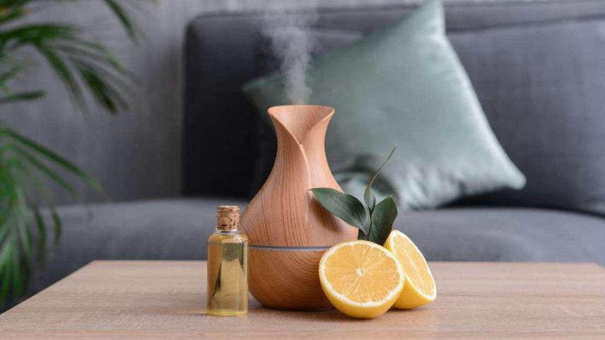 Veja como manter sua casa sempre perfumada no outono