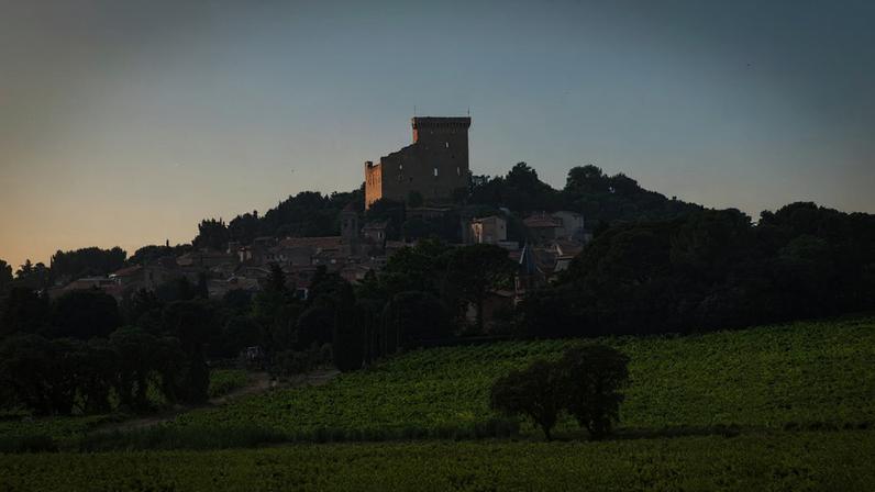 Figaro escolhe 30 melhores Châteauneuf-du-Pape até 50 euros