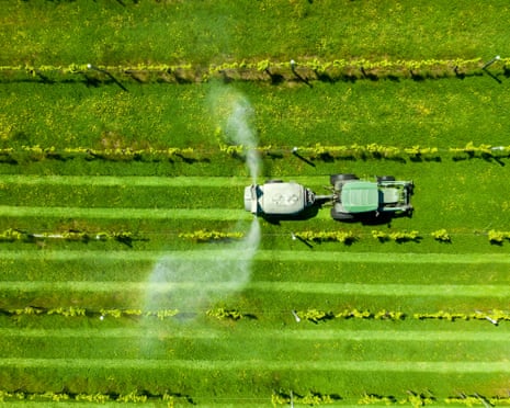 Alternativas a produtos à base de petróleo ganham espaço em fertilizantes e moda