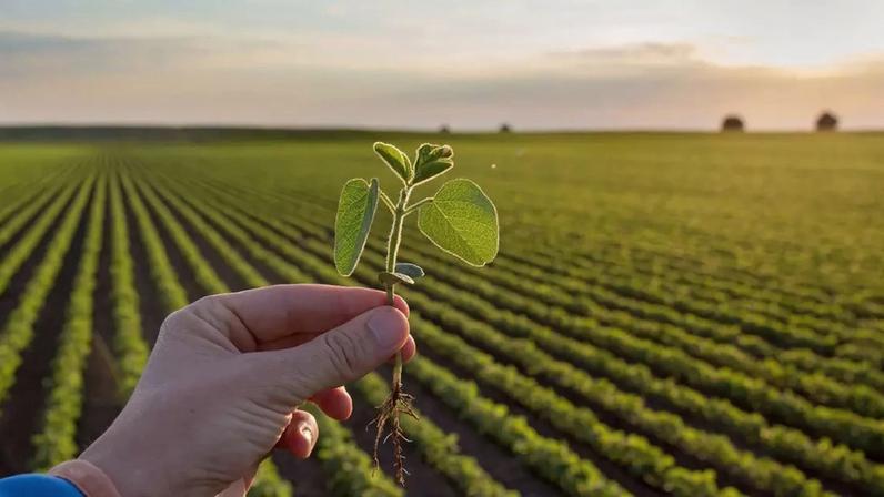 Prêmio Consciencia Ambiental Immensita / DINO