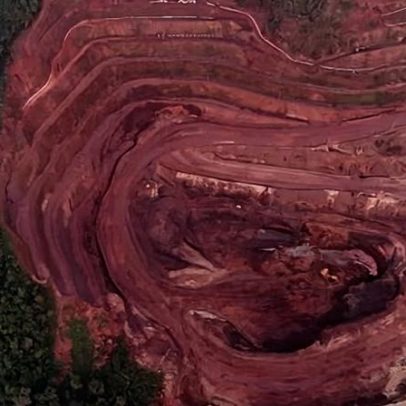Florestas tropicais à beira do colapso por novas demandas de recursos