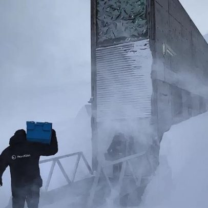Noruega guarda contêiner a -18°C com tesouro capaz de impedir apocalipse