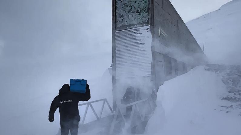 Bunker de sementes na Noruega