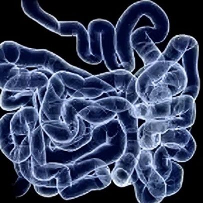 SUS adota novo exame para detectar câncer de intestino precocemente