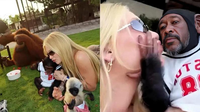 Veja os riscos à saúde da atitude de Virginia ao beijar macaco