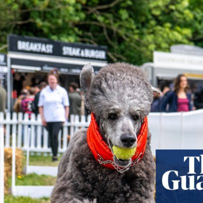 Yoga canino e Ministério do Cão marcam o festival Goodwoof