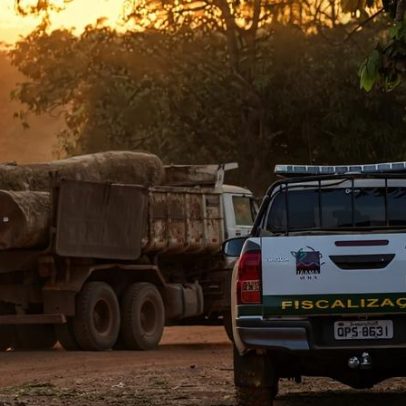 Congresso aprova lei que proíbe uso de satélite de desmatamento na Amazônia