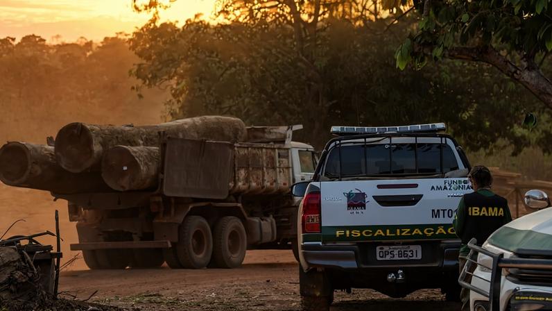 Congresso aprova lei que proíbe uso de satélite de desmatamento na Amazônia