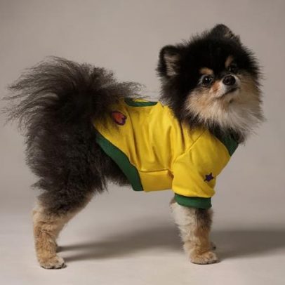Nomes de jogadores para pets ganham popularidade entre tutores