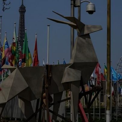 Símbolo de esperança: cervo de origami da Ucrânia na Bienal de Veneza