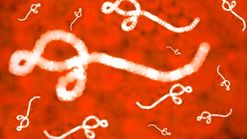 Agente infeccioso responsável por surtos na África. (Foto: Getty Images via Canva)