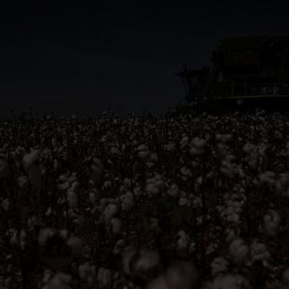 Brasil se prepara para tempestade perfeita no agronegócio