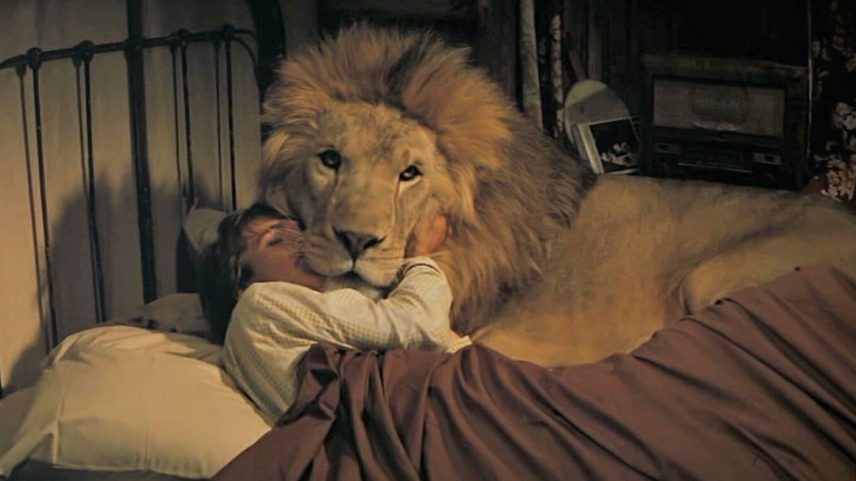 Filmagens de 'Roar' terminaram com mais de 70 pessoas machucadas