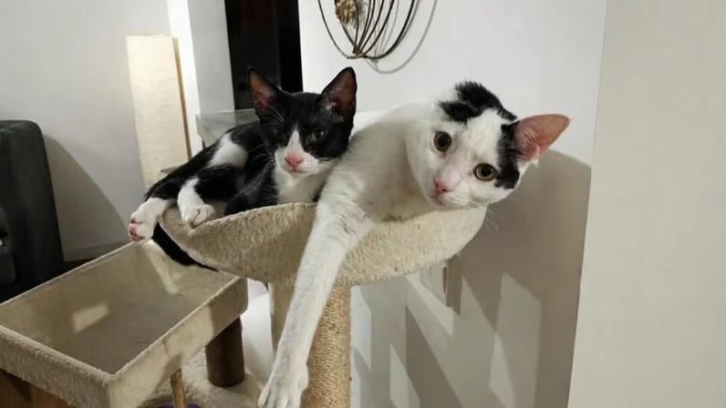 Créditos: Foto/Divulgação