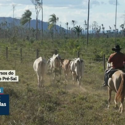 Senado e governo negociam projeto de renegociação de dívidas rurais