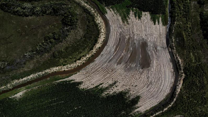 Intrusão de água salgada em aquíferos costeiros preocupa mundo, aponta estudo