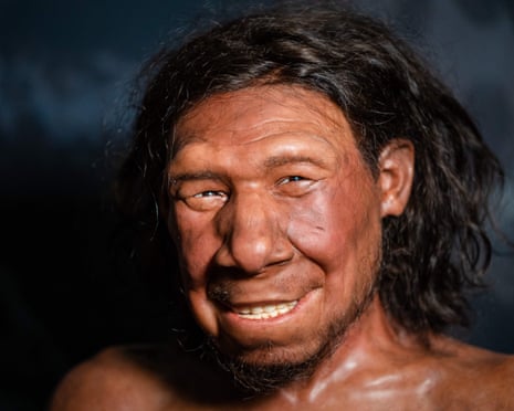 Neandertais usaram brocas de pedra para tratar cáries há 59 mil anos