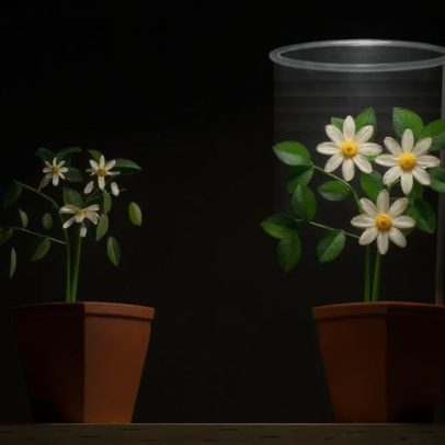 Fotossíntese artificial: folhas sintéticas geram combustíveis limpos