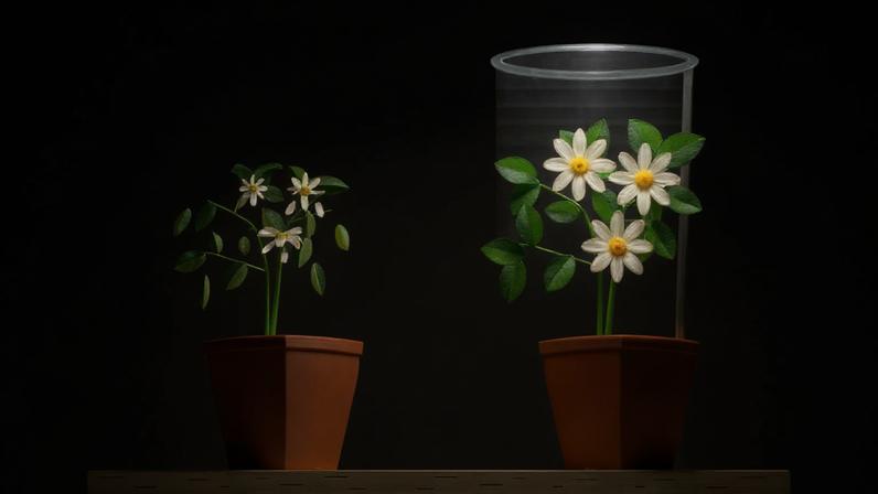 Enquanto a fotossíntese biológica converte apenas uma pequena parte da luz em energia útil, “folhas sintéticas” já alcançam índices muito maiores em laboratório, abrindo caminho para combustíveis de baixo carbono – depositphotos.com / KajaNi