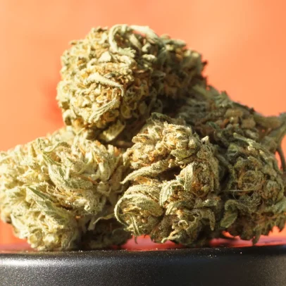 Anvisa retira tarja preta e permite exportação de cannabis medicinal