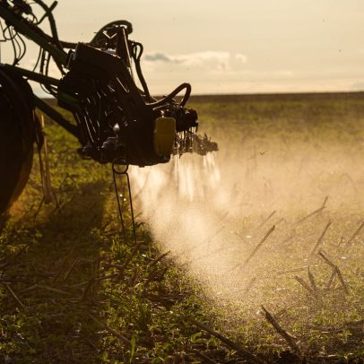 Linha de crédito do FAT poderá financiar inovação no agronegócio