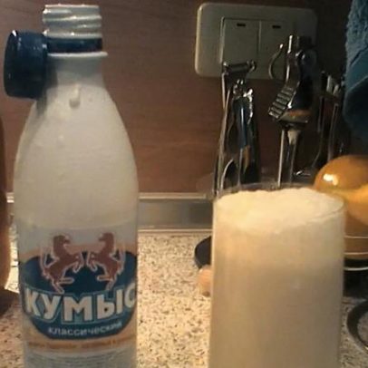 Kumis: fermentação do leite de égua e seus segredos