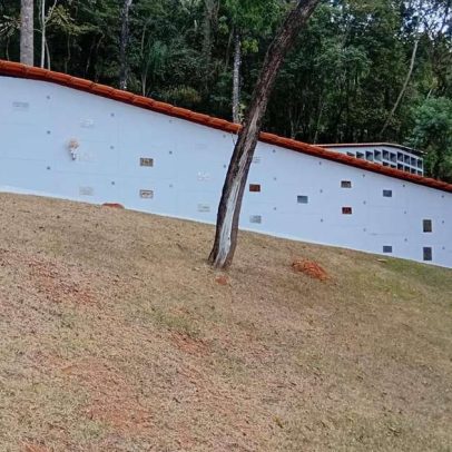 Funerárias adotam despedidas humanizadas para pets