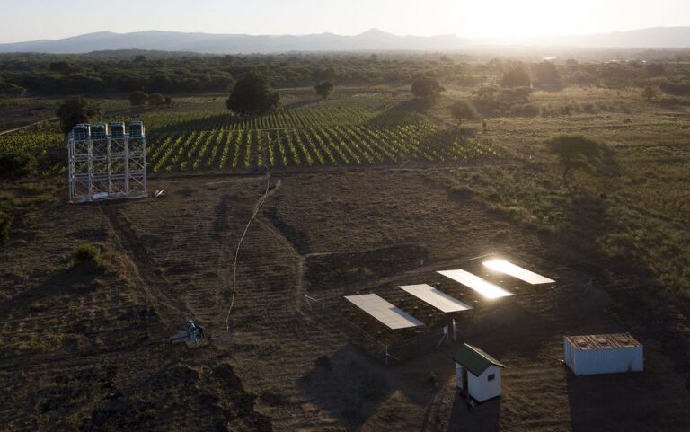 Aerial view of solar-powered drip irrigation scheme in Tauya village, Zambia. In Zambia, the majority of rural communities depend on rain-fed agriculture. However, erratic weather patterns, including drought, often lead to significant crop damage and livestock losses. Food security remains a pressing issue.