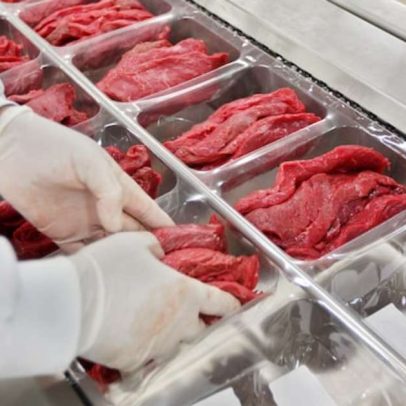 Governo mira reverter proibição da UE à compra de carnes brasileiras