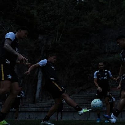 Botafogo avança e mira o topo do Brasileirão ao fim do 1º semestre