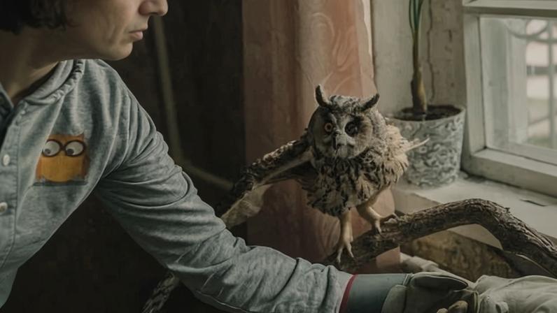 Veronica Konkova with Sunny at her home in Dnipro. The long-eared owl lost an eye and a wing in a Russian drone attack.